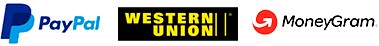 pagos paypal